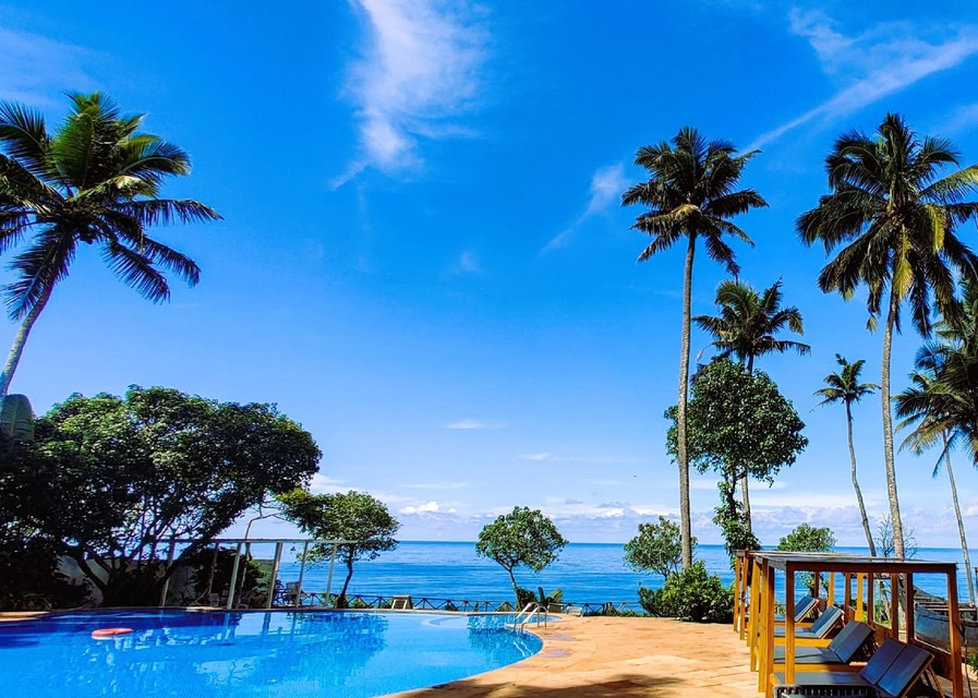 Discover the Joy of Travel