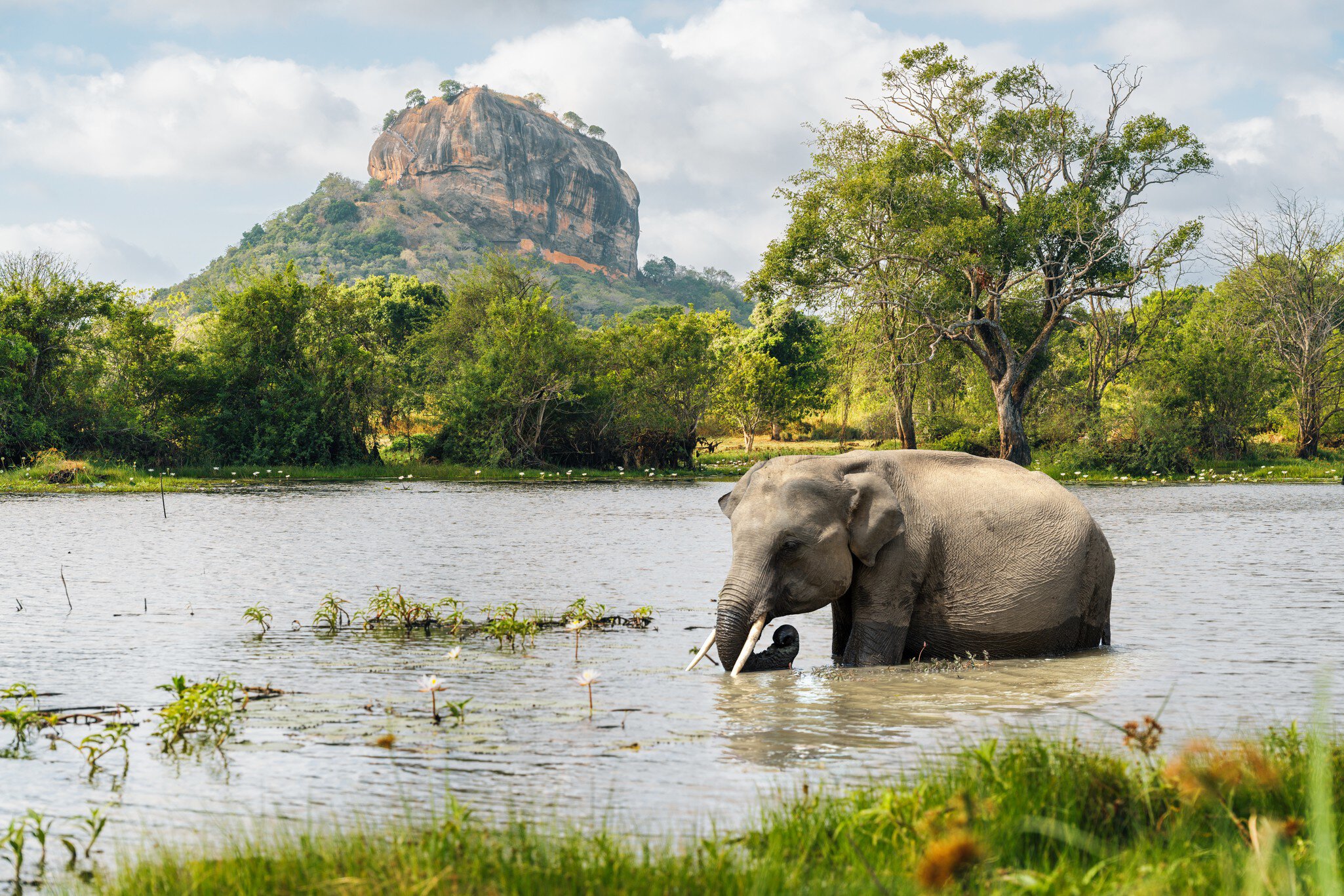 Sri Lanka Packages